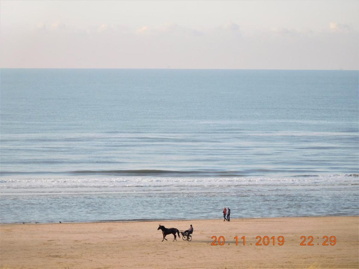 Strandhuis Егмонд ан Зее Екстериор снимка
